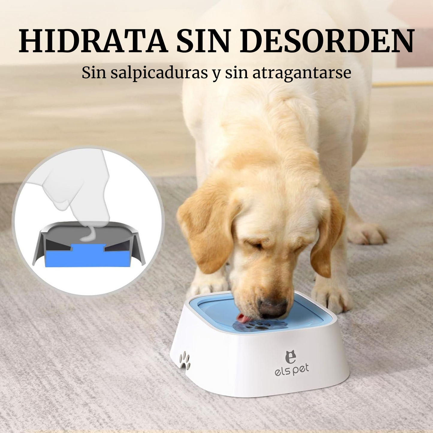 HydroPaws