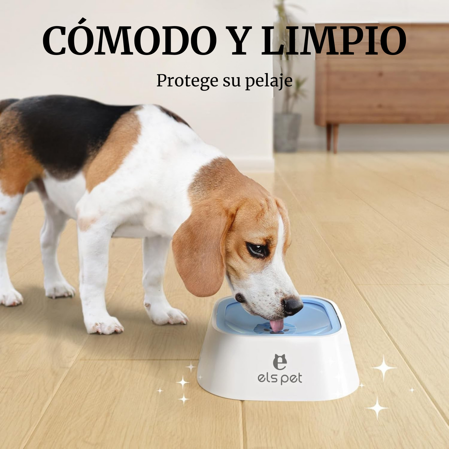 HydroPaws